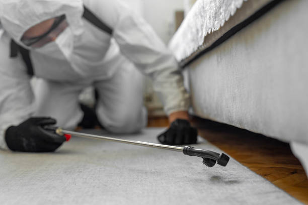 Professional Cockroach Control technician working in Black Earth, WI